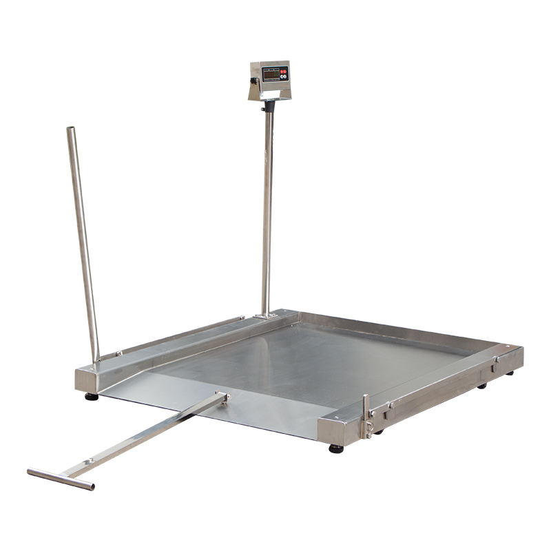304不锈钢可移动平台秤